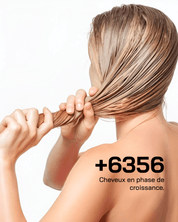 Après-Shampooing Densité - Touché Skincare Lab